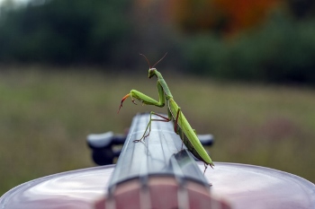 Musician Photography 2018